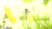 animated tv animation GIF by LooseKeys