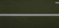 GIF by Lafayette Leopards