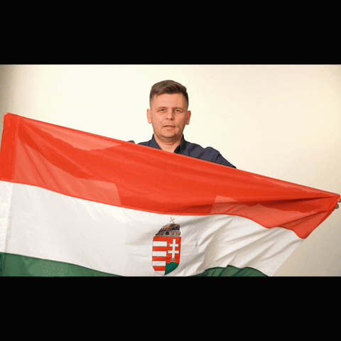 Fricsovszky-Toth Peter GIF by Jobbik Magyarországért Mozgalom