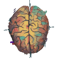 Knowledge Sticker