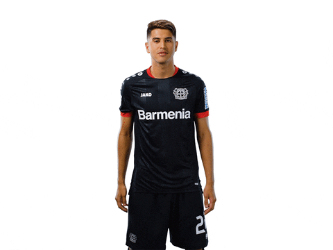 Bayer 04 Facepalm GIF by Bayer 04 Leverkusen