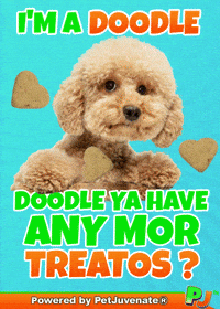 PetJuvenate petjuvenate henlo hooman fren love rescue dogs treatos and woofer for pupper GIF