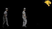 D3B GIF by CUCougars