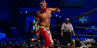 luchalibreaaa  GIF