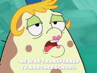 season 8 GIF by SpongeBob SquarePants