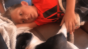 Boston Terrier Is Very Fussy About Who He Kisses