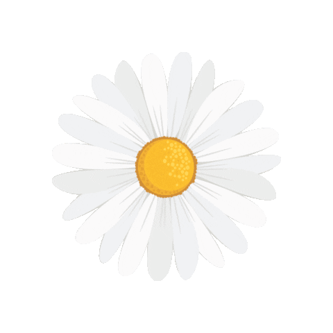 cosmonaturel flower flow flowe camomille Sticker