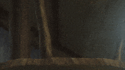 Alpha Sapphire GIF by Pokémon