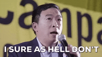Andrew Yang GIF