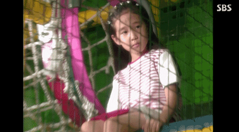 stevefrank1 giphyupload GIF