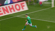 Football Soccer GIF by SV Werder Bremen