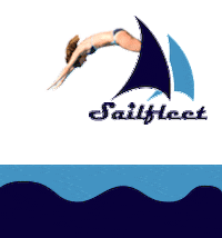 sailfleet giphyupload summer vibe yacht Sticker