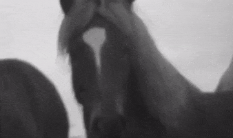 nonchalant GIF by 6lack