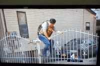 news fail GIF