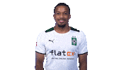 Alassane Plea Bundesliga Sticker by Borussia Mönchengladbach