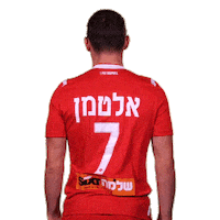 Hta Yallahapoel Sticker by Hapoel TelAviv FC