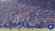 College Football Ku GIF by Kansas Athletics
