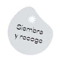 EstudioAndreaMadridLopez calma diseñografico filosofia siembra Sticker