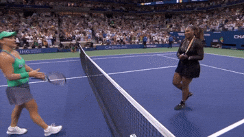 Williams And Kovinic Shake Hands