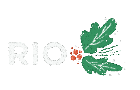Riokids Sticker by Iglesia RIO Internacional