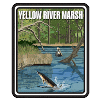 Aquatic Preserve Sticker by FLDEP