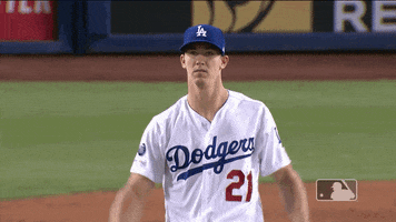 Regular Season Sport GIF by MLB