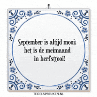 Humor Wijsheid GIF by Tegelspreuken.nl