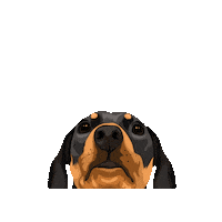 Picklepp Sticker by Pickle's Pawtraits