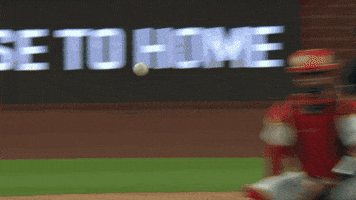 Home Run Baseball GIF by Toronto Blue Jays