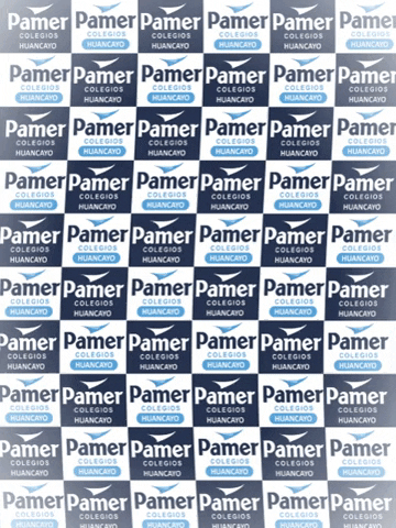 PamerHuancayo logo top colegio educacion GIF