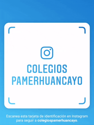 PamerHuancayo instagram top educacion niños GIF