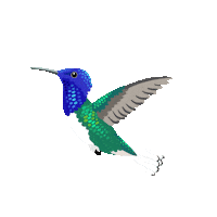 Hover Amazon Sticker