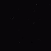 Flower Hand GIF by Kiji Lab