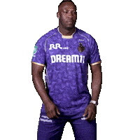 Kolkata Knight Riders Ipl Sticker by Knight Riders Sports