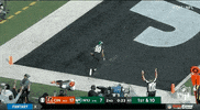 New York Jets Football GIF by NFL
