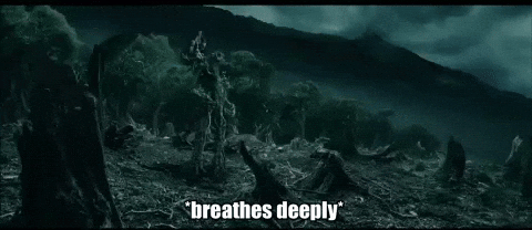 tjnee2085 yell lotr lord of the rings ent GIF