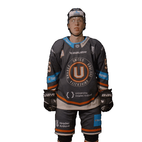 Uhk Sticker by UNIted HK