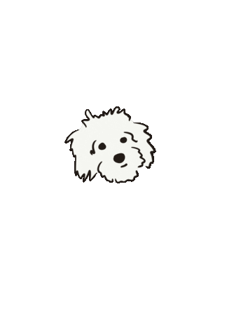 Dog Zelda Sticker