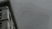 unreal GIF by EchoBoom Sports