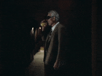 Film Kodak GIF by Mama Bird Recording Co.