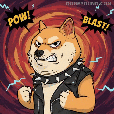 Angry Shiba Inu GIF by Doge Pound