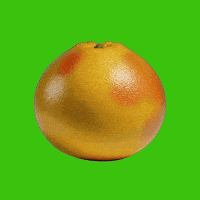 Energy Comida GIF
