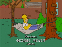 homer simpson episode 20 GIF