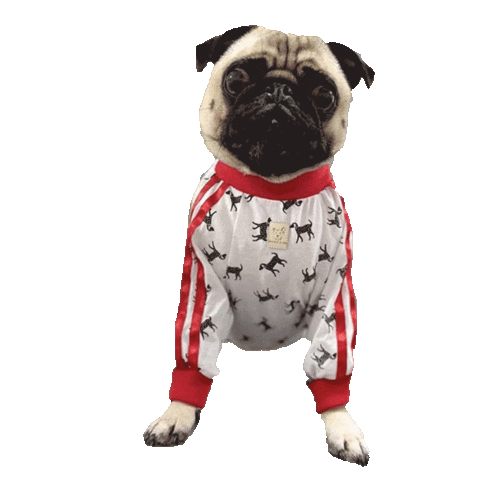 French Bulldog Dogs Sticker by RedandGinger