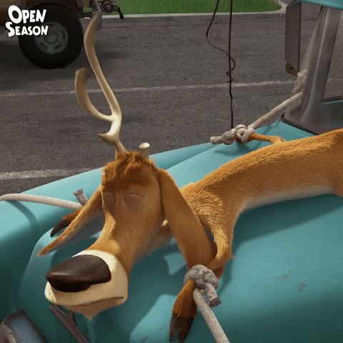 sonyanimation giphygifmaker GIF