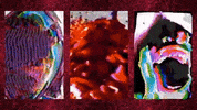 horror glitch GIF by Death Orgone