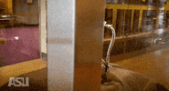 College Football Asu GIF by Arizona State University