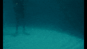 rohmontgomery rickymontgomery blackfins GIF
