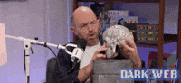 Paul Scheer Sparkle GIF by Dark Web