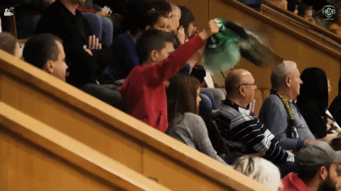 Ceska Republika Yes GIF by HCB Karviná